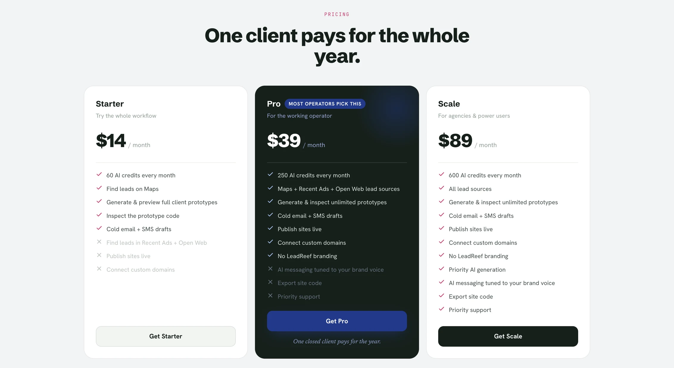LeadReef's own pricing page: Starter $14 a month with 60 AI credits, lead finding on Maps, full client prototypes you can generate, preview and inspect, and cold email plus SMS drafts; Pro $39 a month with 250 credits, the Maps, Recent Ads and Open Web lead sources, unlimited prototypes, live publishing, custom domains and no LeadReef branding; Scale $89 a month with 600 credits, all lead sources, priority AI generation, brand-voice messaging, site code export and priority support. Pro is marked as the plan most operators pick.